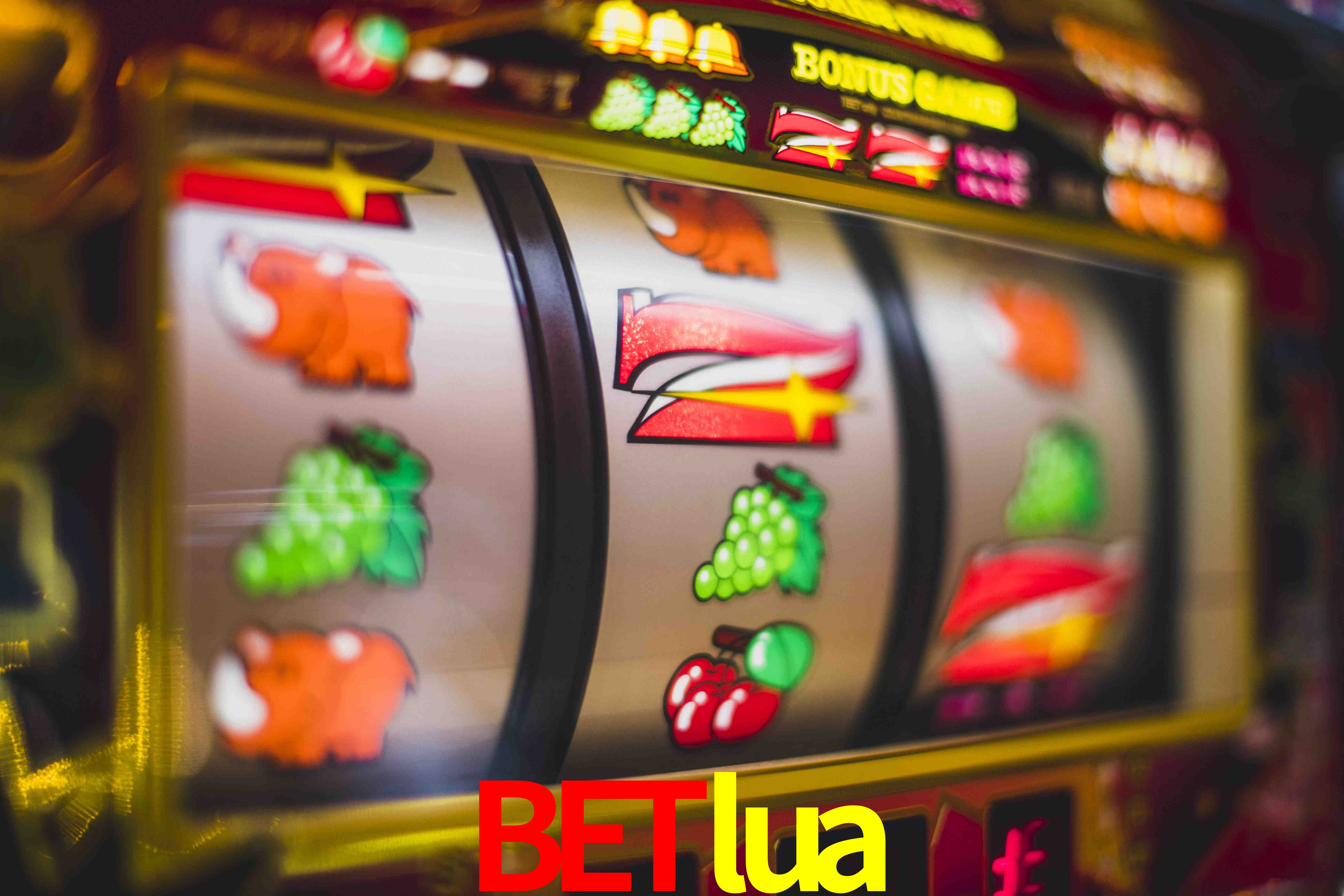 Basketball Betting betlua